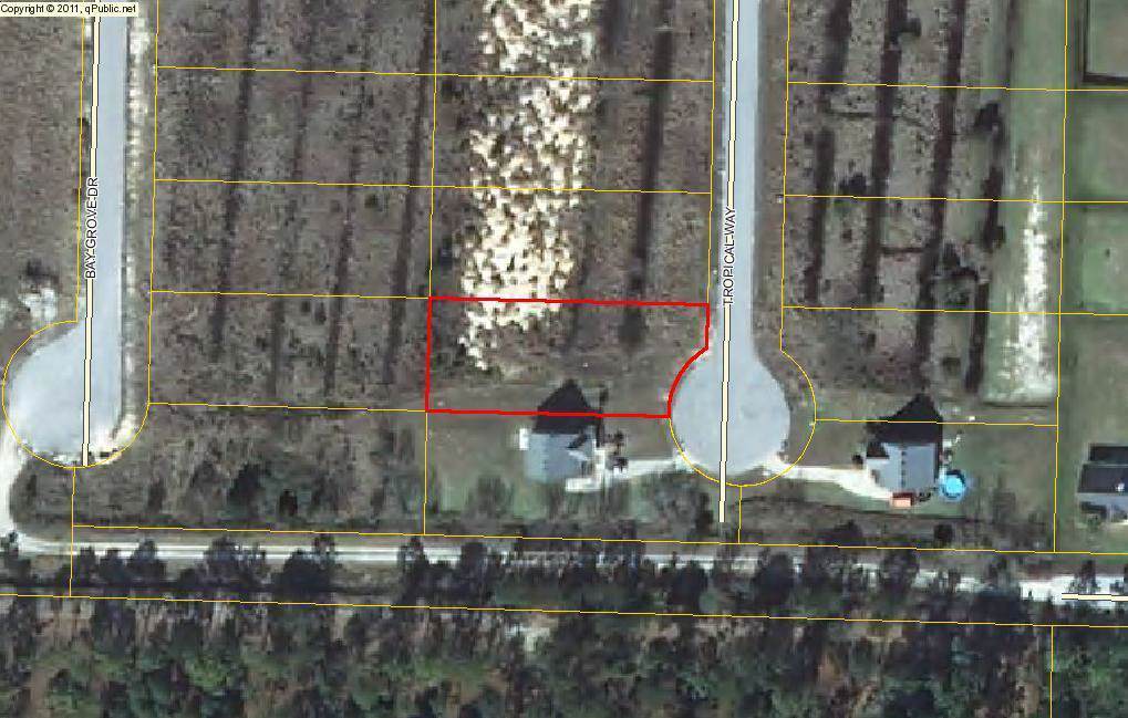 Lot 37 Tropical Way - Photo 1