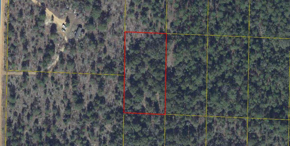 1.25AC No Name Rd - Photo 1