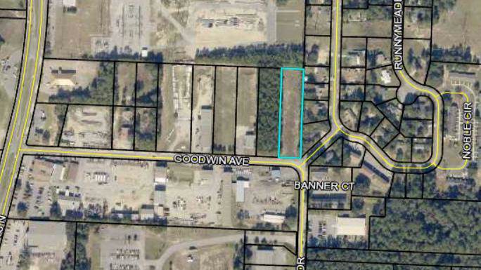 XXX Goodwin Avenue - Photo 1