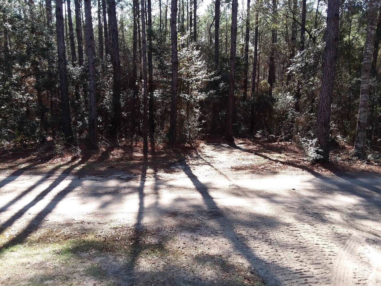 3934 Chambray Road - Photo 1