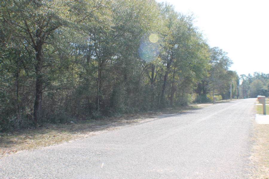 0.97 AC Audrey Drive - Photo 1 0.97 AC Audrey Drive - Photo 1