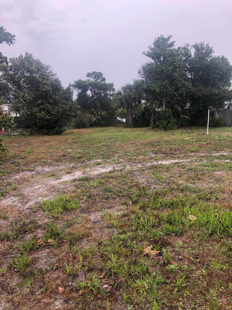 205 San Souci Boulevard - Photo 1