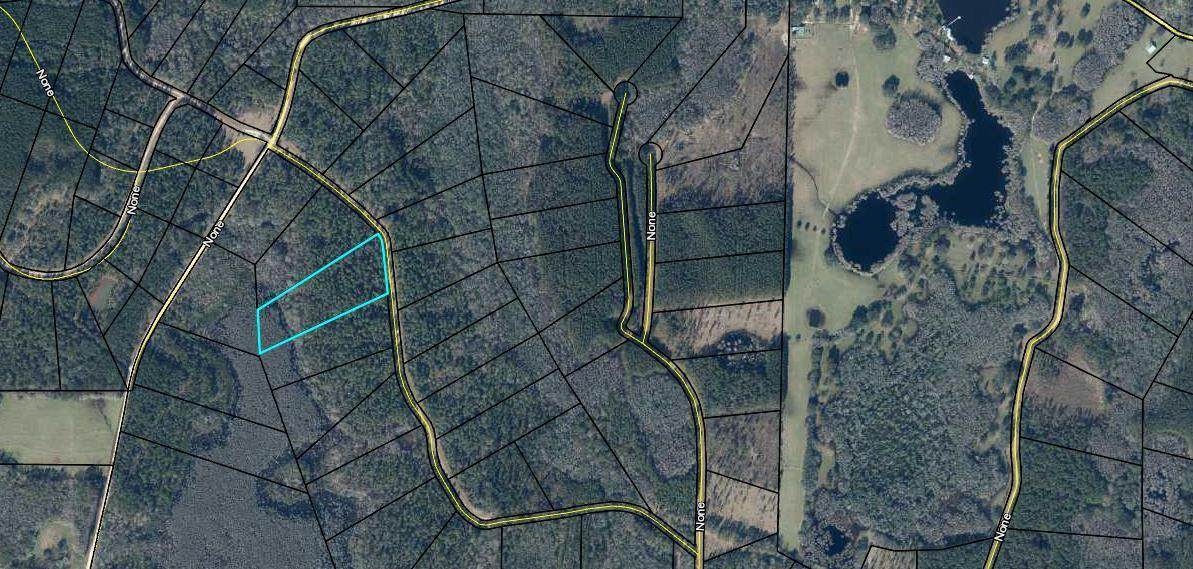 TBD Reedy Creek Crossing - Photo 1