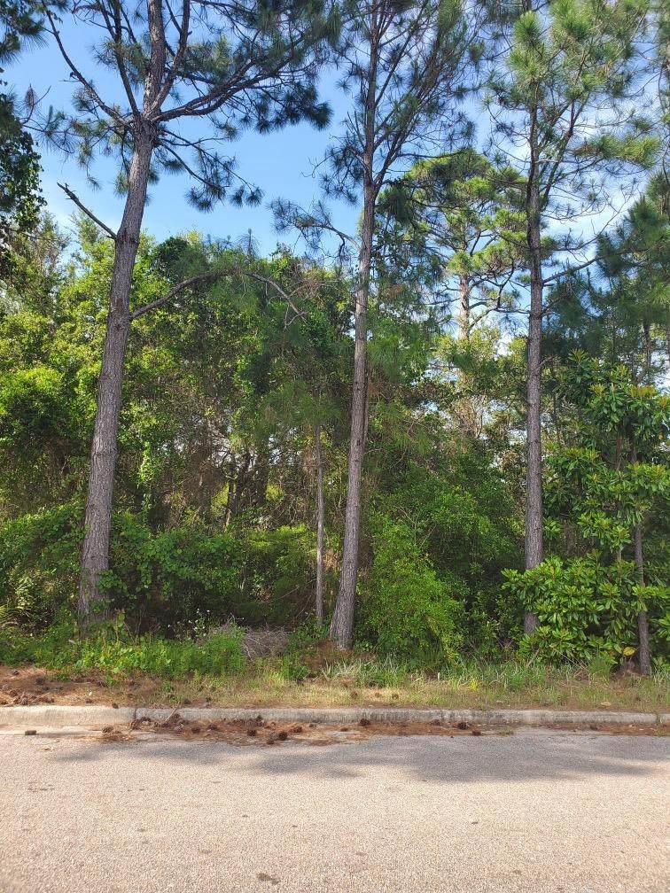 6648 Tidewater Drive - Photo 1