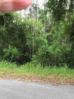 XX Jones Drive - Photo 1