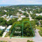 243 Rose Lane - Photo 1
