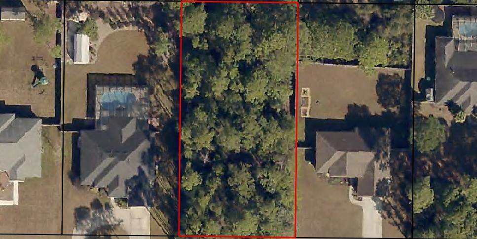 8753 El Paseo Street - Photo 1