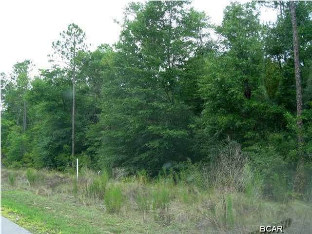 4125 Cedar Creek Drive - Photo 1