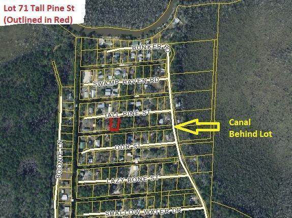71 Tall Pine Street - Photo 1