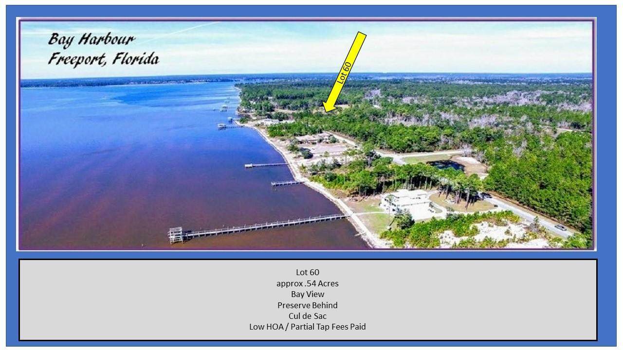 Lot 60 Sunset North - Photo 1