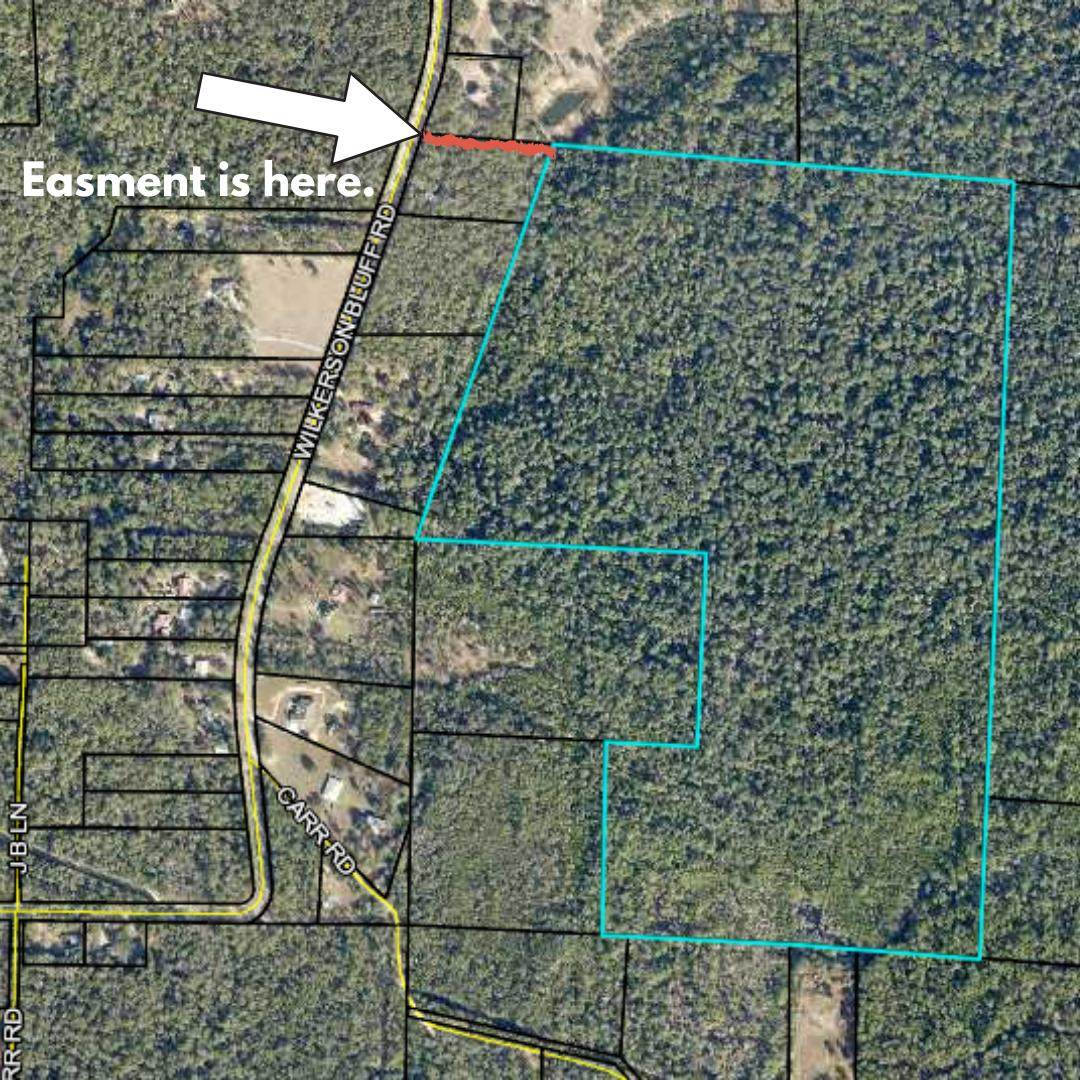 90 Acres Wilkerson Bluff Road - Photo 1