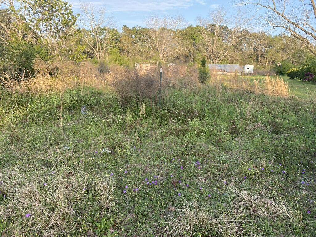24.93 AC Eighth St - Photo 1