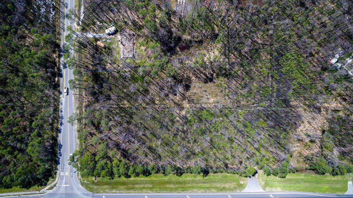 Lot 2 Thompson Road - Photo 1
