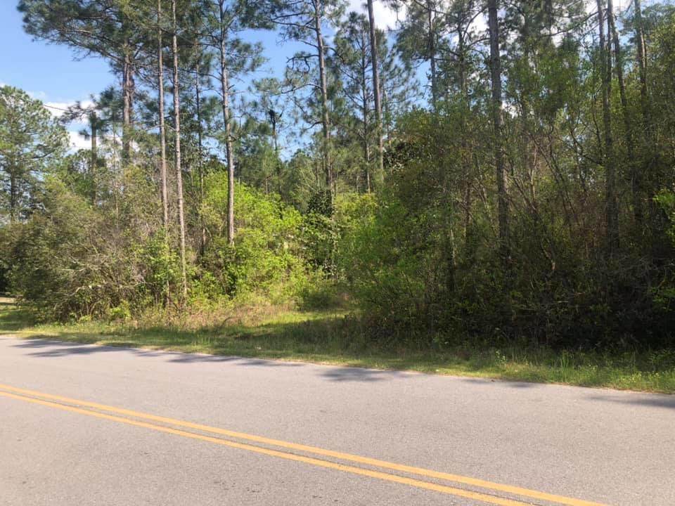 Lot 7 B Lake Rosemary Court - Photo 1