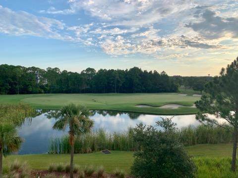 9800 Grand Sandestin Boulevard - Photo 1