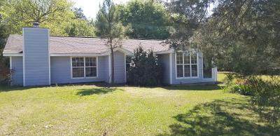 7401 Hwy 393 - Photo 1