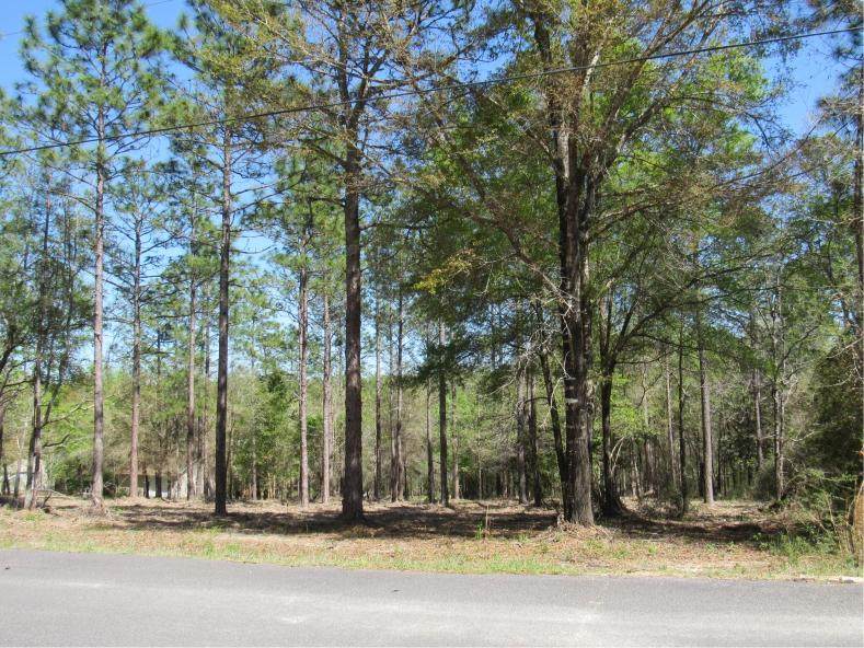 6113 Mockingbird Hill Court - Photo 1