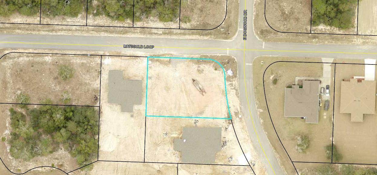 Lot 23 Dogwood Drive - Photo 1