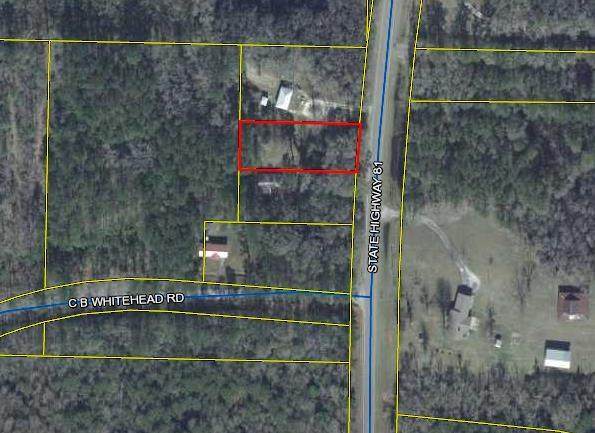 TBD St Hwy 81 S - Photo 1