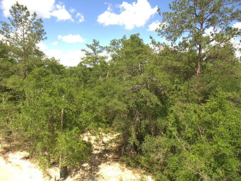214 Kirkwood Run - Photo 1