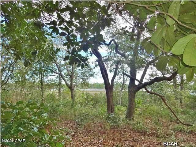 6621 Lazy Acre Road - Photo 1