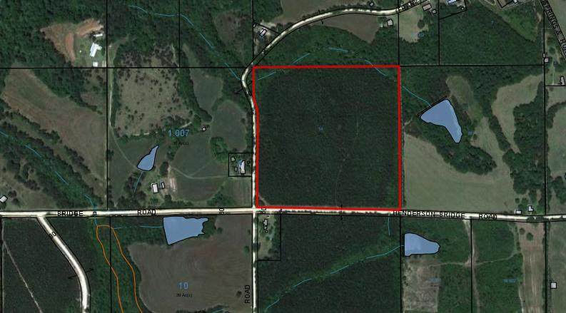 40 AC Henderson Bridge Road - Photo 1