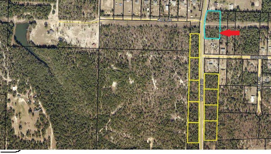 0 Mt Olive Road - Photo 1