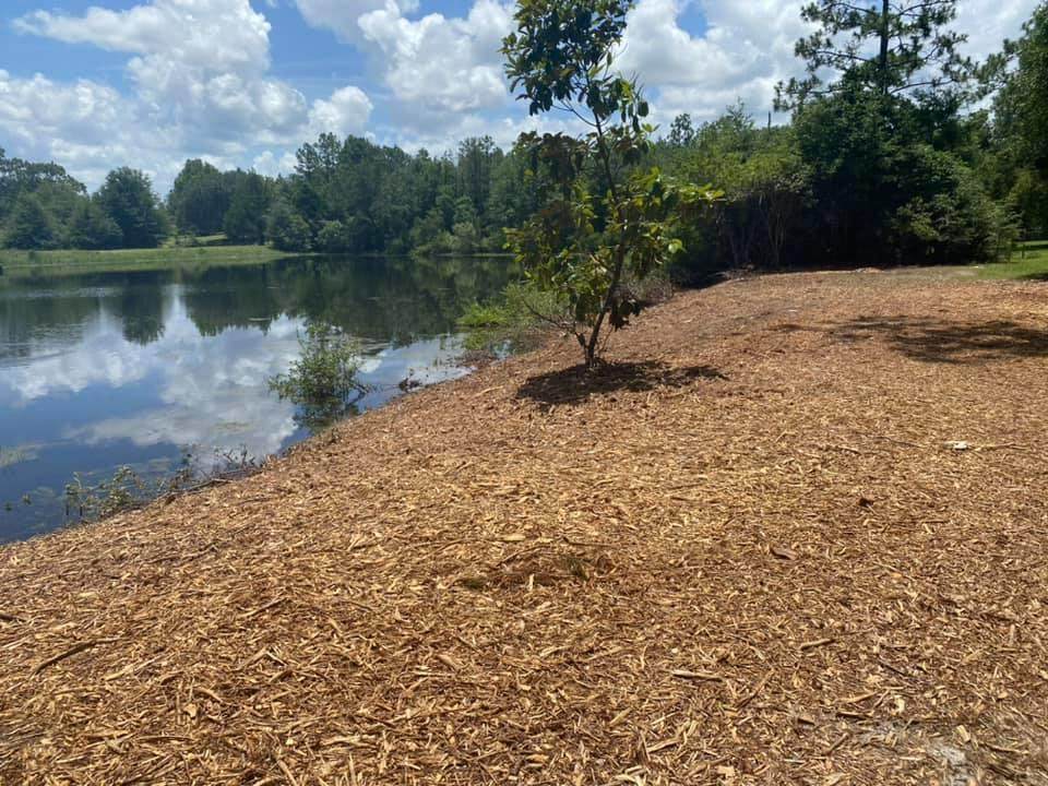 28 Acre Pinederosa Trail - Photo 1
