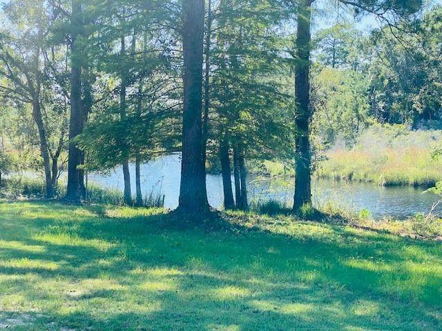 193 Ramsey Branch Road - Photo 1