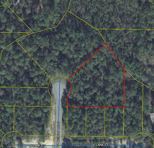 TBD Ponderosa Blvd - Photo 1