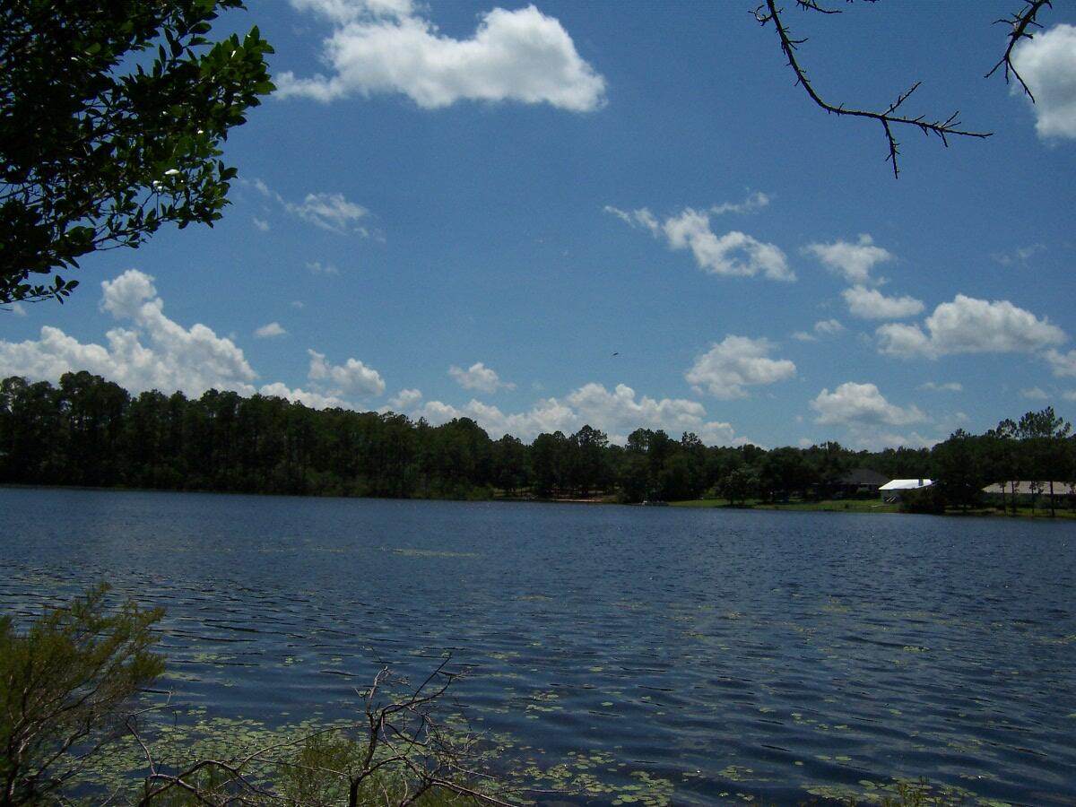 Lot 12 Magnolia Lake Drive - Photo 1
