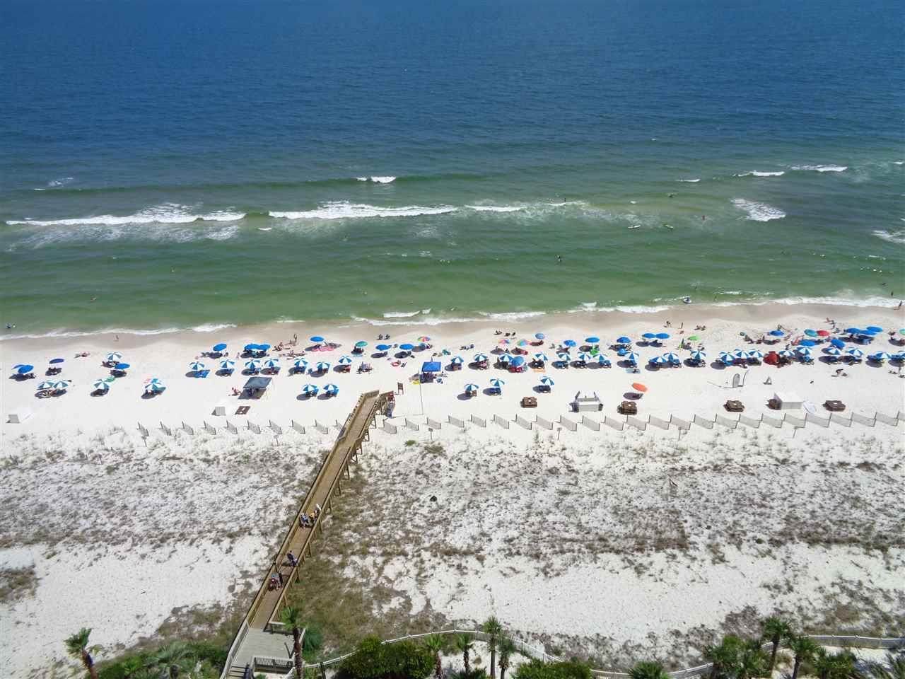 13621 Perdido Key Dr - Photo 1