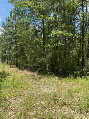 0 Short Creek Road - Photo 1