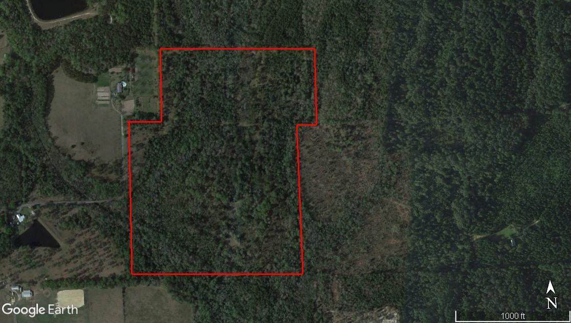 65 Acres Hill Street - Photo 1