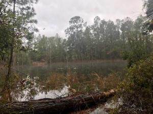 0 Blue Creek Road - Photo 1