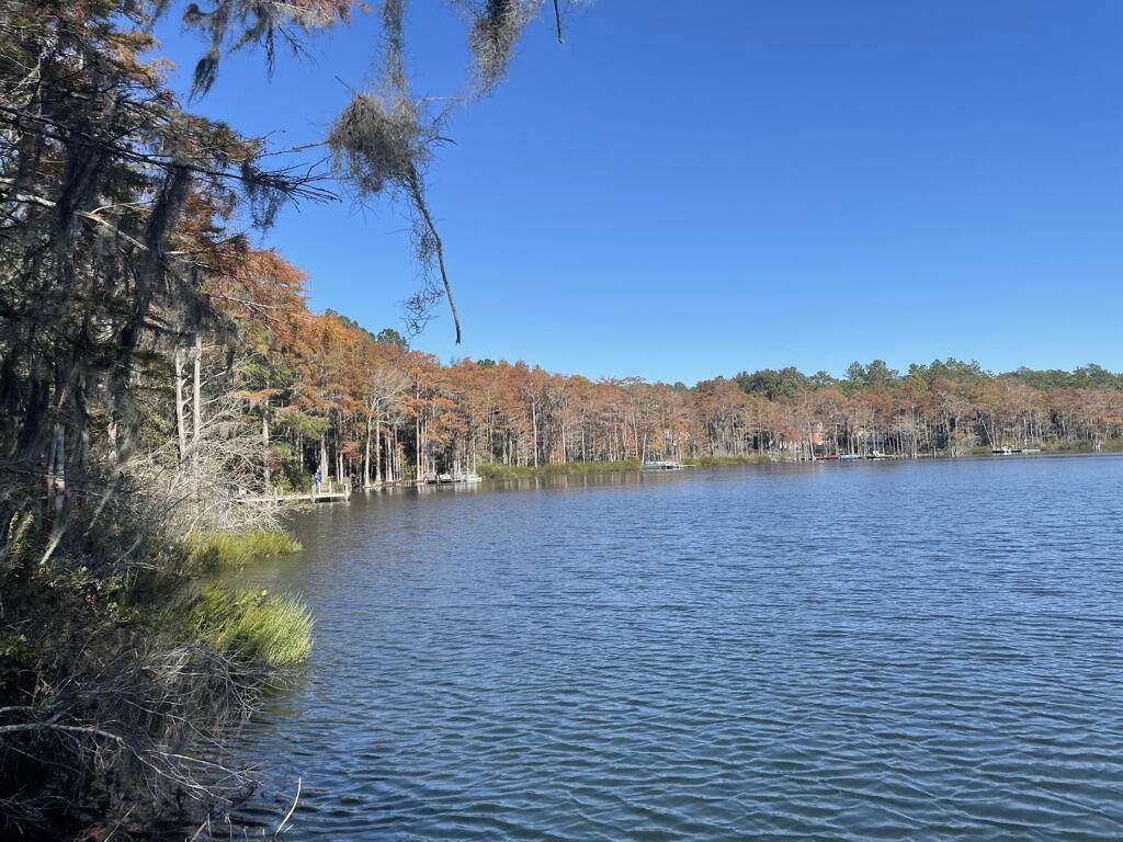 LOT14 Blue Pond Circle - Photo 1