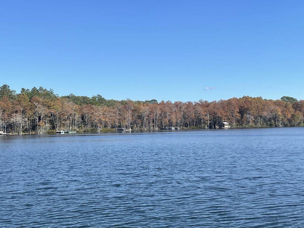 LOT 41 Blue Pond Lane - Photo 1