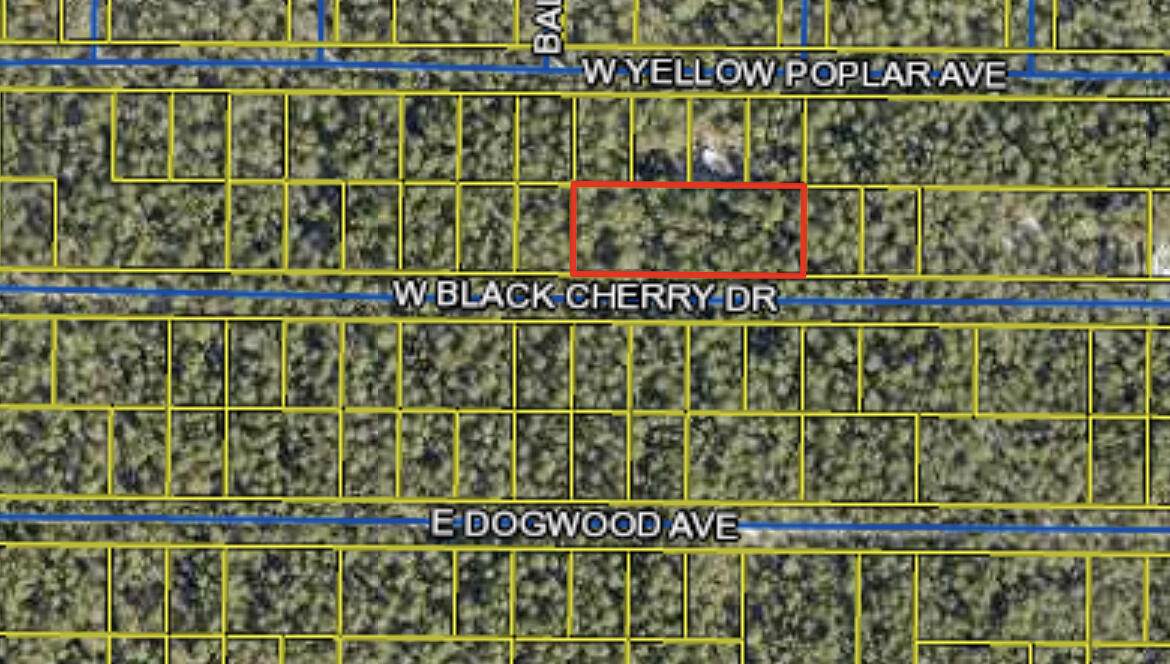 TBD Black Cherry Drive - Photo 1