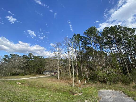 19121 Hwy 331 - Photo 1