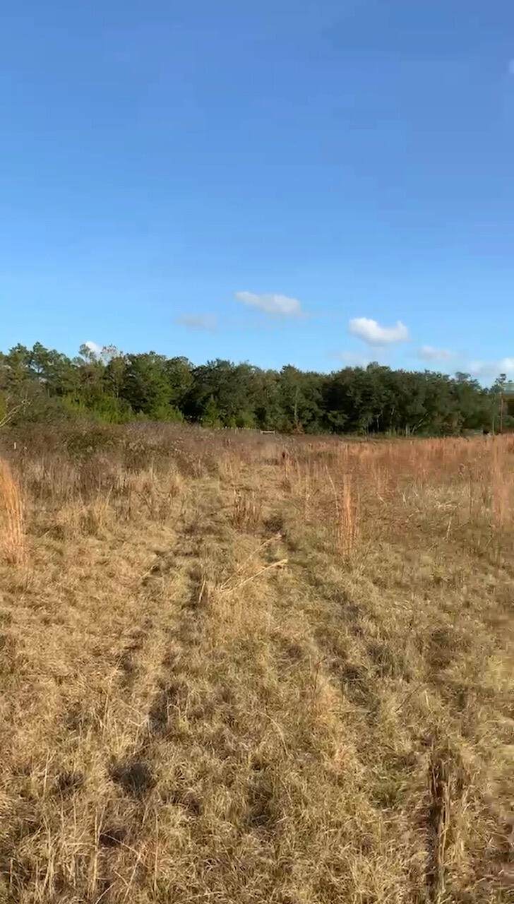 25acres State Highway 20 - Photo 1
