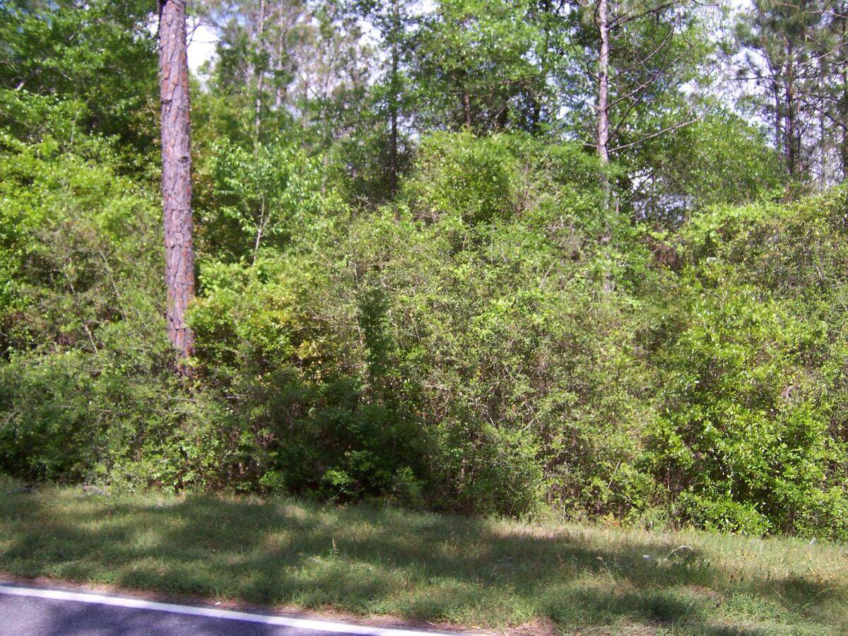 5 ac Hinote Road - Photo 1