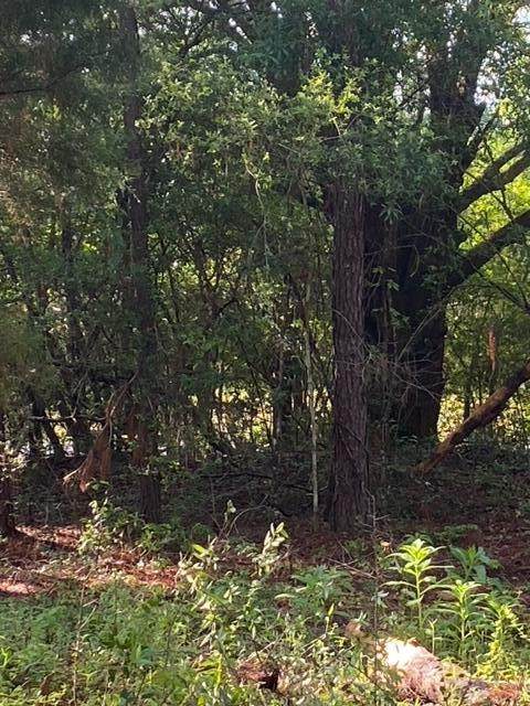 1718 Highway 10A - Photo 1