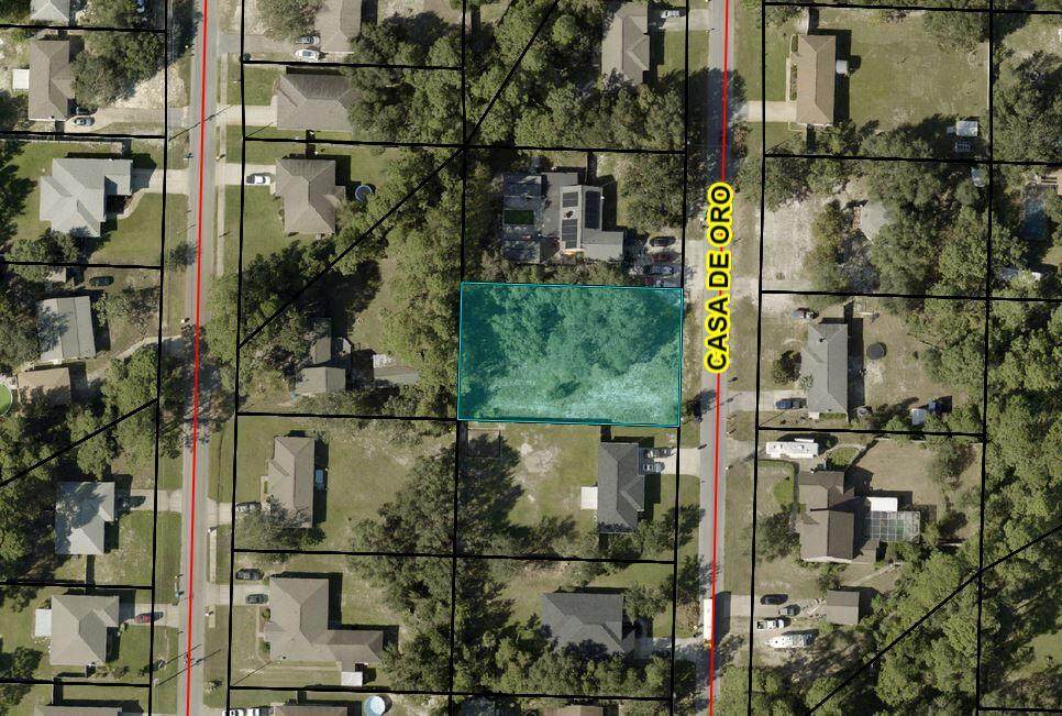 2087 Casa De Oro Street - Photo 1