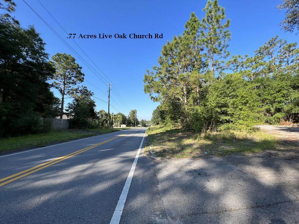 325 Live Oak Church Rd - Photo 1
