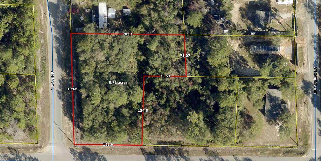 Lot 1 & 5 Trout Dr - Photo 1