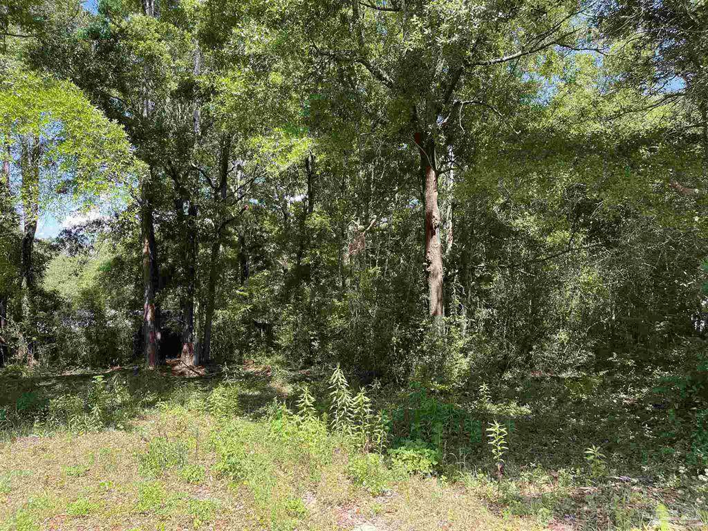 4832 O Bryan Way - Photo 1
