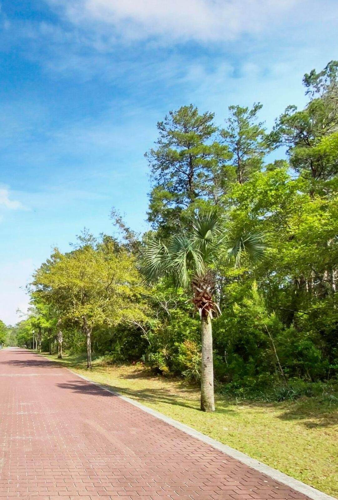 Lot 22 Magnolia Beach Way - Photo 1