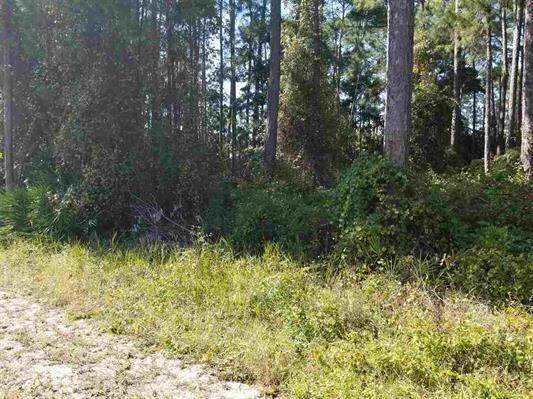 Lot 23 Jessica Court - Photo 1