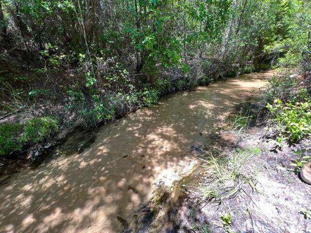 45 Acres Woodyard Road - Photo 1