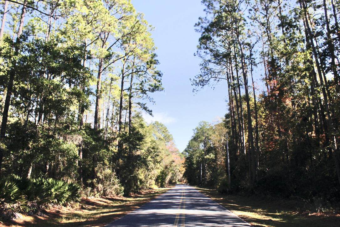 5.6AC Mallet Bayou Drive - Photo 1